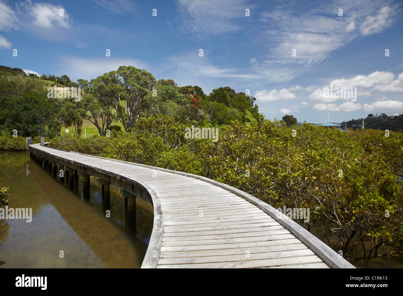 Boardwalk across mangroves, Sandspit, near Warkworth, Auckland Region