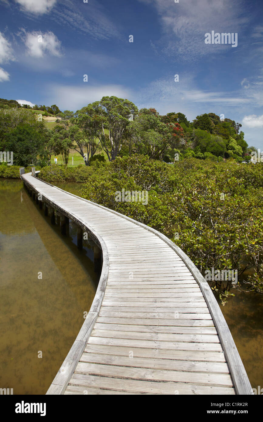 Boardwalk across mangroves, Sandspit, near Warkworth, Auckland Region