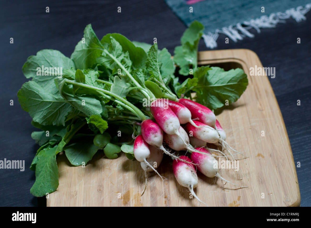 radishes fresh from the garden Stock Photo Alamy