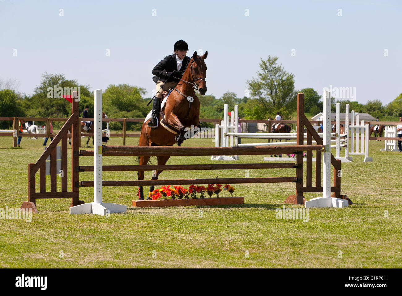 Woman riding horse at show jumping competition Stock Photo Alamy