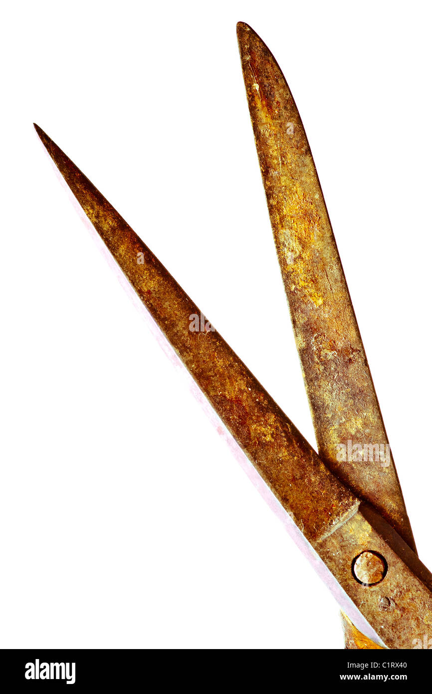 old rusty scissors Stock Photo Alamy