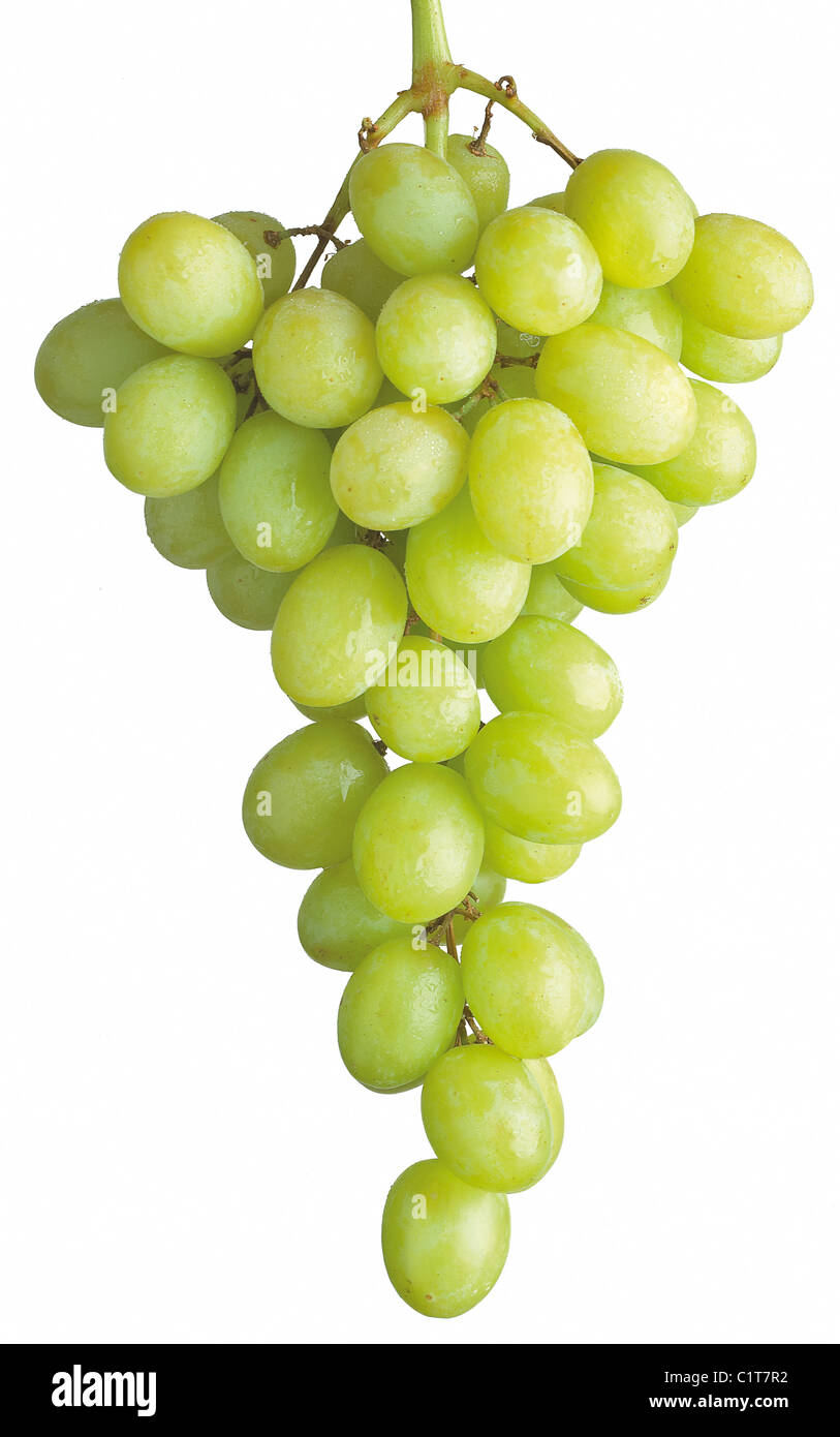 a bunch of grapes isolated on white with clippimg path Stock Photo
