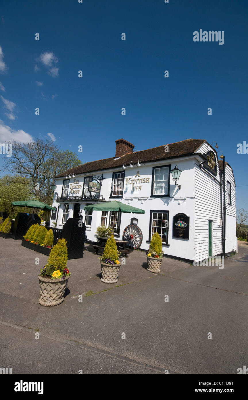 trickled trout pub on the river stour at Wye Village in Kent England UK