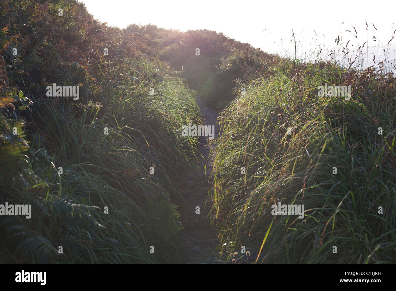 Cornish coast map hires stock photography and images Alamy
