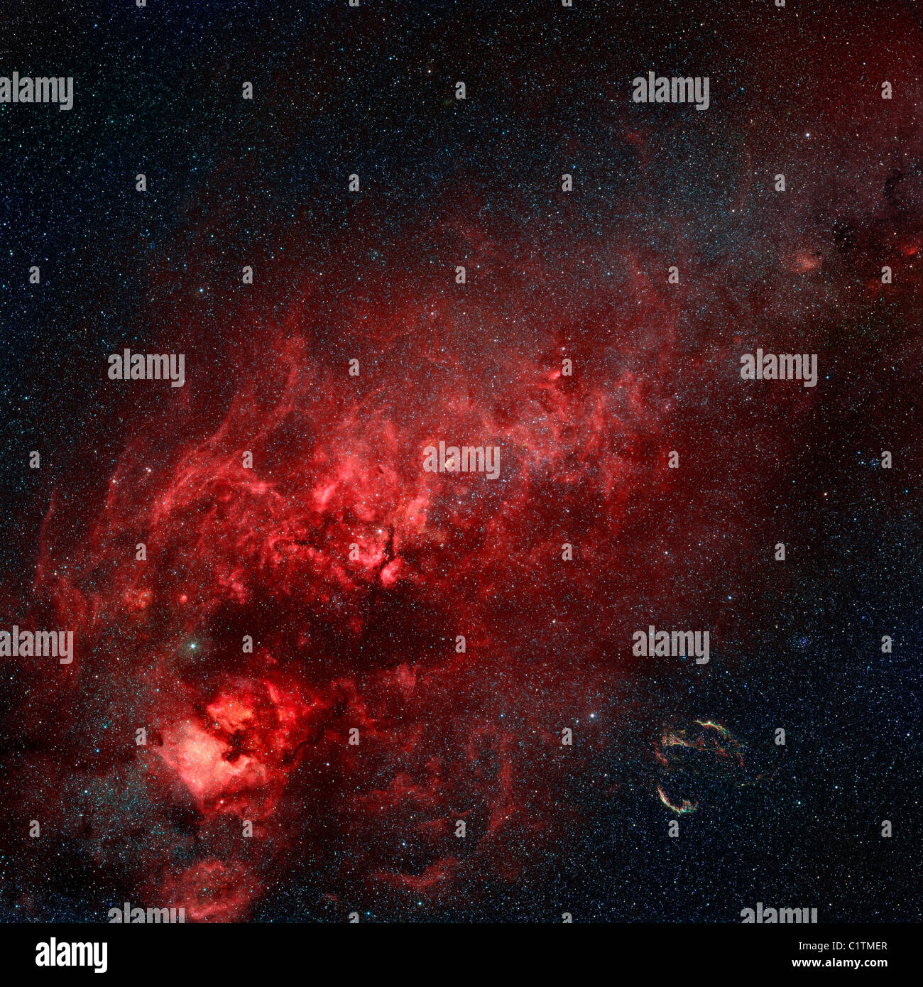 Constellation Cygnus with multiple nebulae visible. Stock Photo