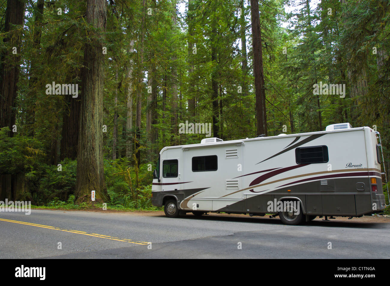 Northern California. RVing in Redwood National Park Stock Photo