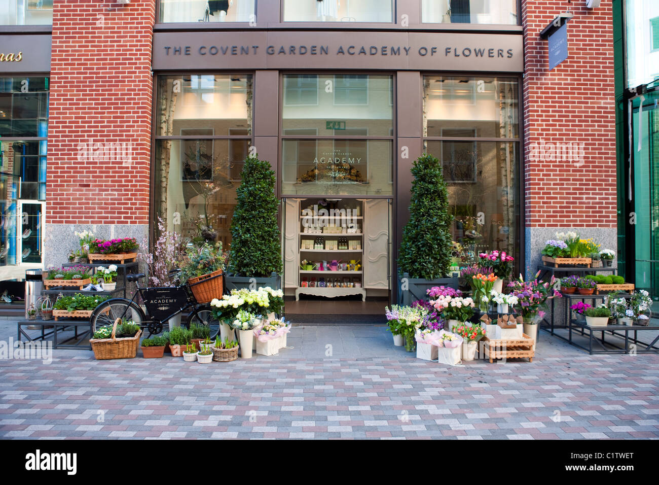 the covent garden academy of flowers, a flower shop and school stock