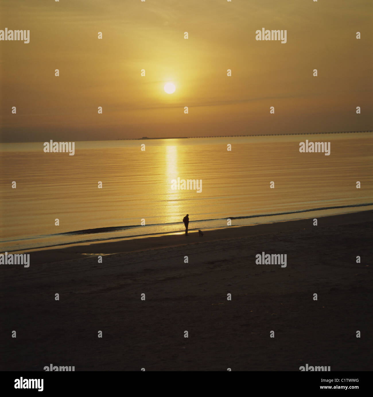 Silhouette of a person walking on the beach during sunset Stock Photo ...