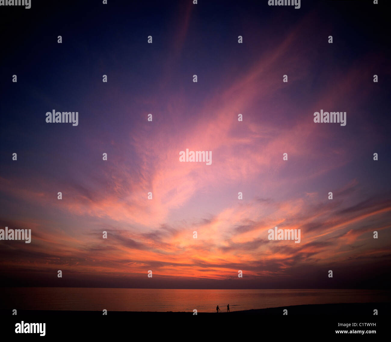 Sseditor hi-res stock photography and images - Alamy