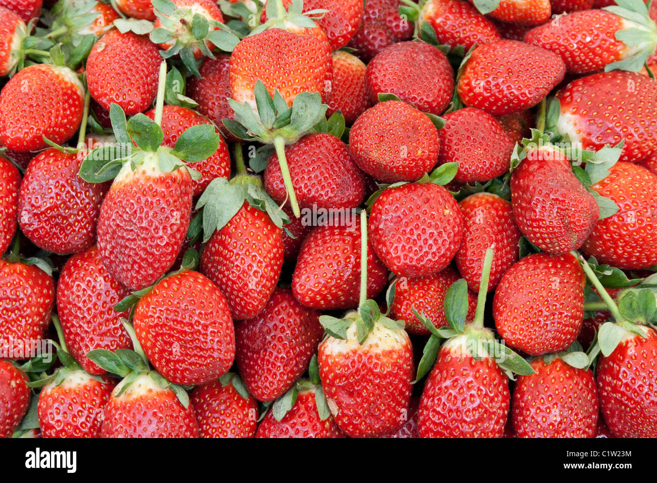 Ripe red strawberries with green spines background Stock Photo - Alamy