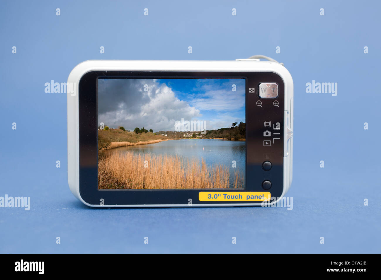 The viewing screen on the back of a compact digital camera Stock Photo