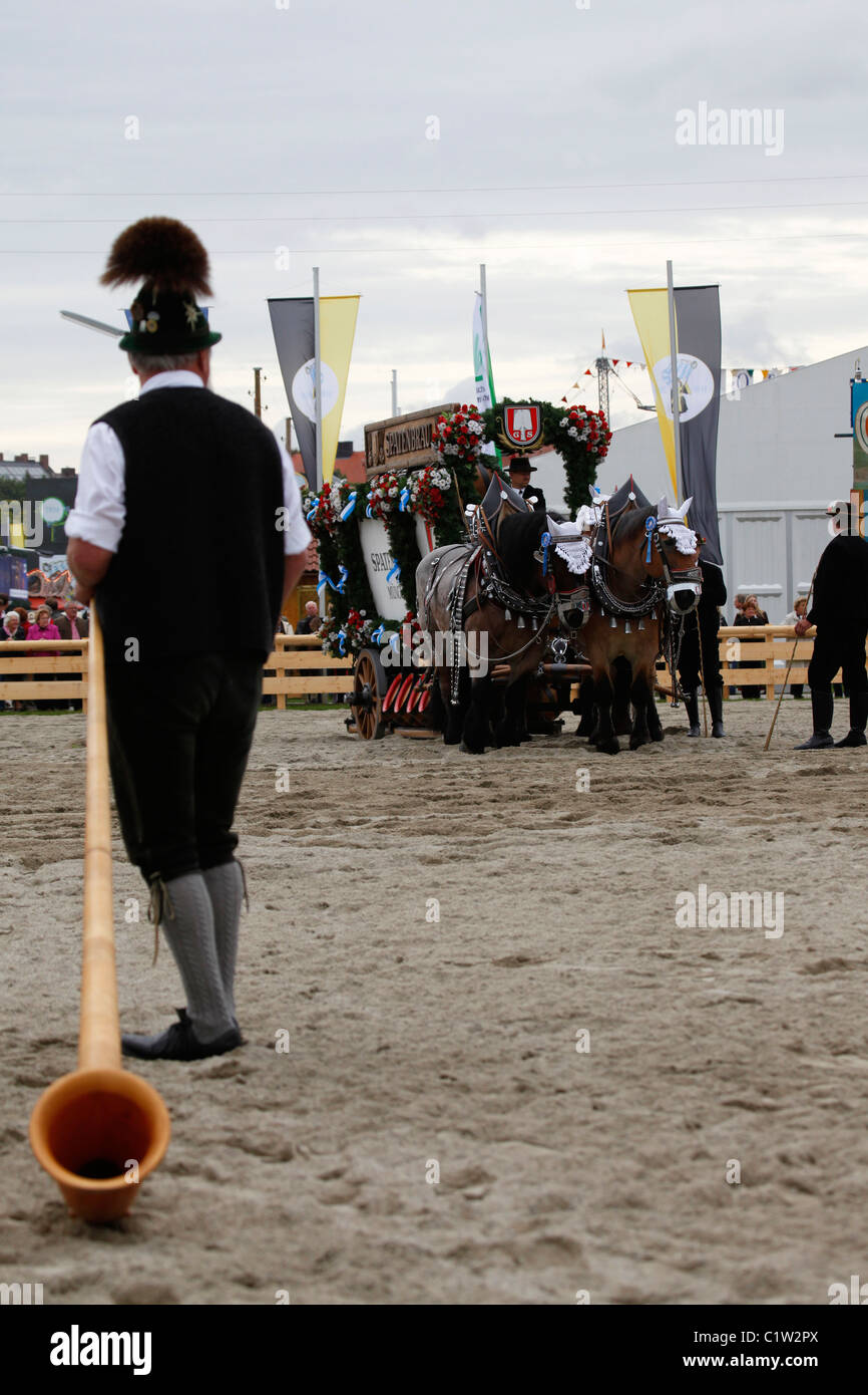 An Alpine horn player looks on at a brewery dray wagon at the Munich Oktoberfest. Stock Photo