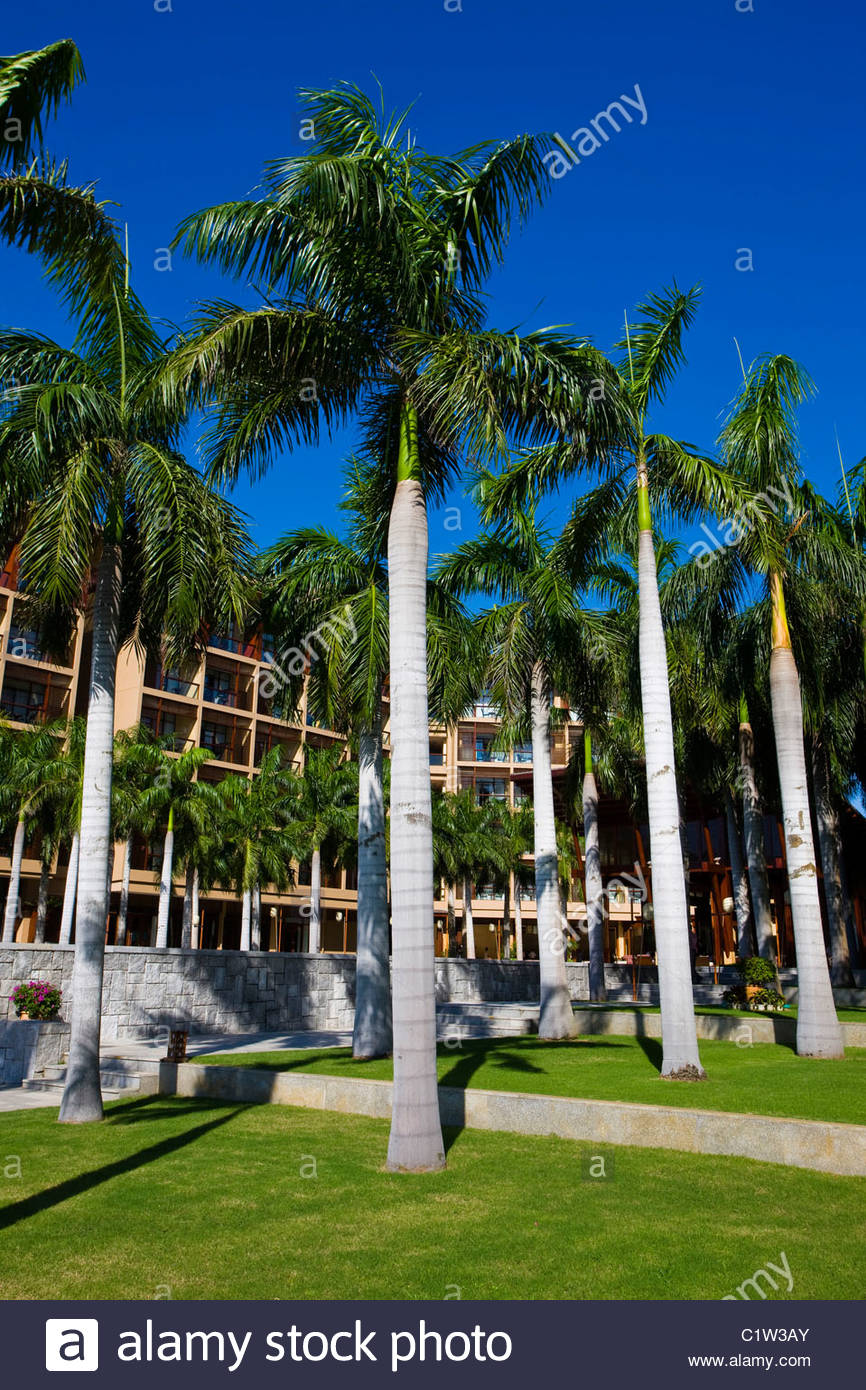 Mangrove Tree Resort Sanya Yalong Bay Hainan Island - 
