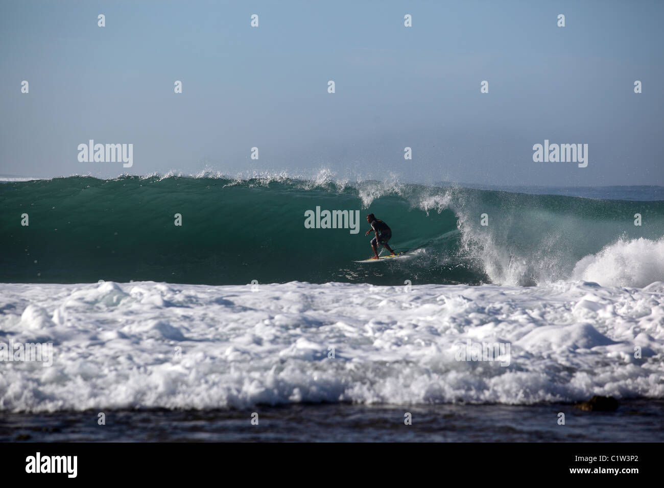 Surfing the dangerous wave called Indicators in Lagundri Bay, Nias
