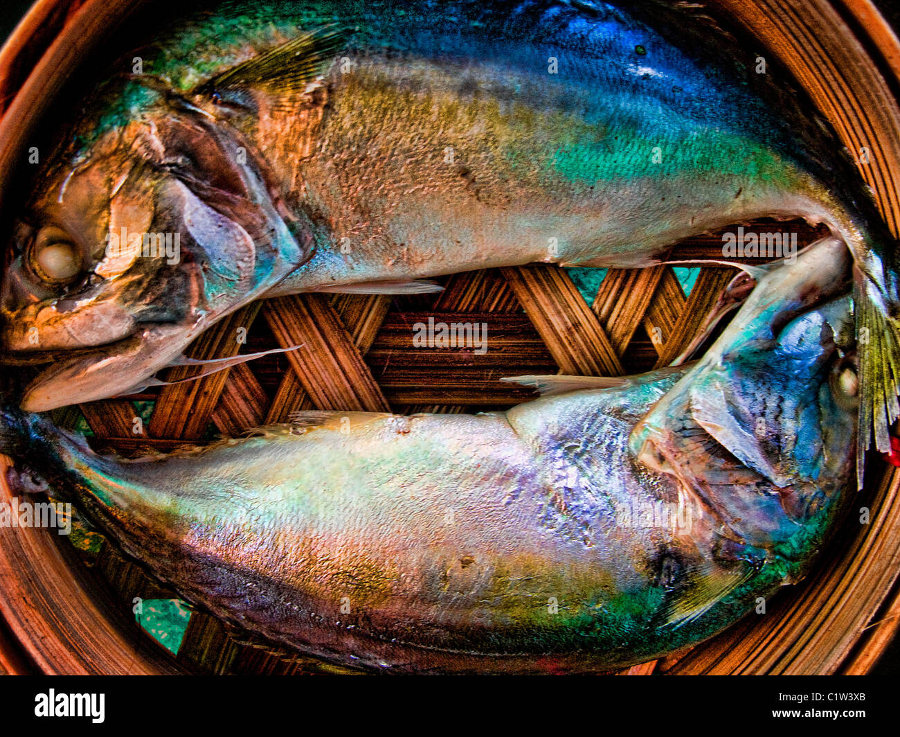 Two fish in basket Stock Photo Alamy