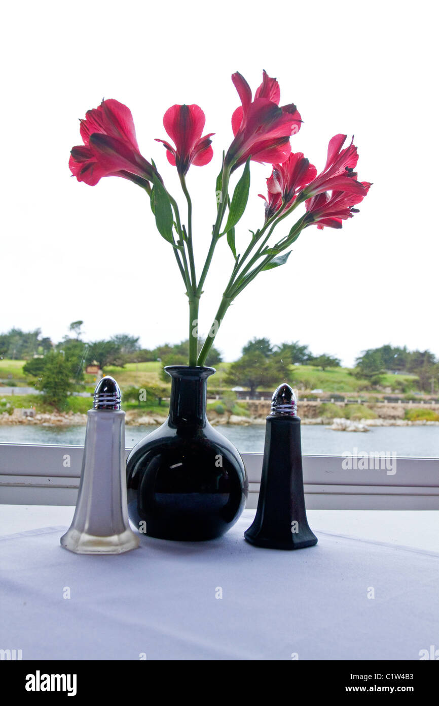 Ground salt and pepper shakers on a polished wood surface with light from a  window illuminating the table; rustic dining table with glass shakers Stock  Photo - Alamy