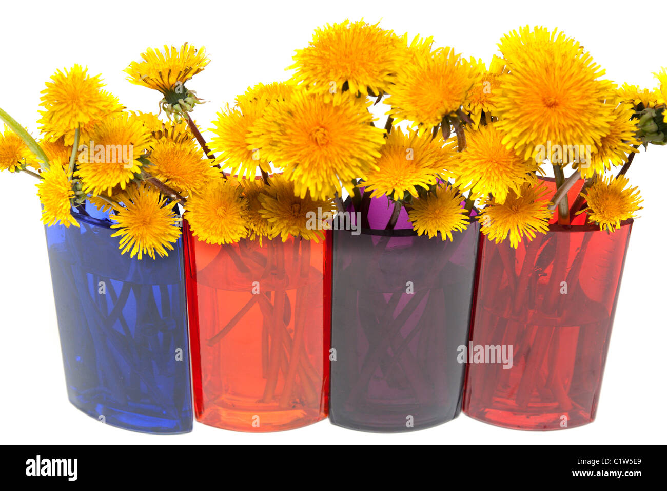 Yellow dandelions in glass colour vase on white background Stock Photo ...