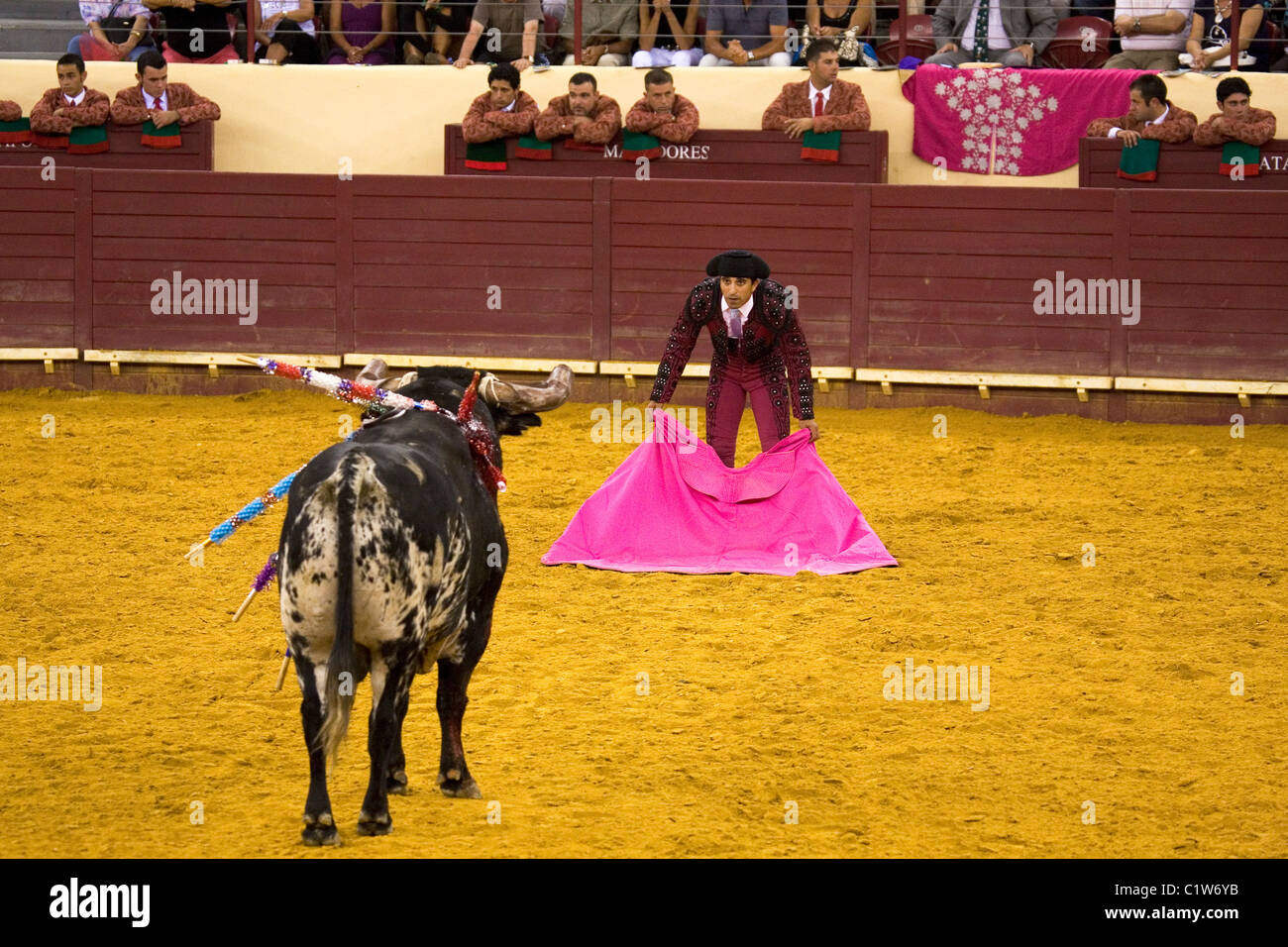 A Matadore in action during Portuguese style bullfighting at the Campo Pequeno in Lisbon, Portugal. Stock Photo