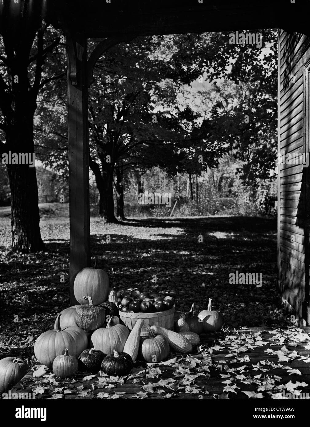 USA, Maine, Gilead, autumn leaves, fruits and vegetables on porch Stock Photo