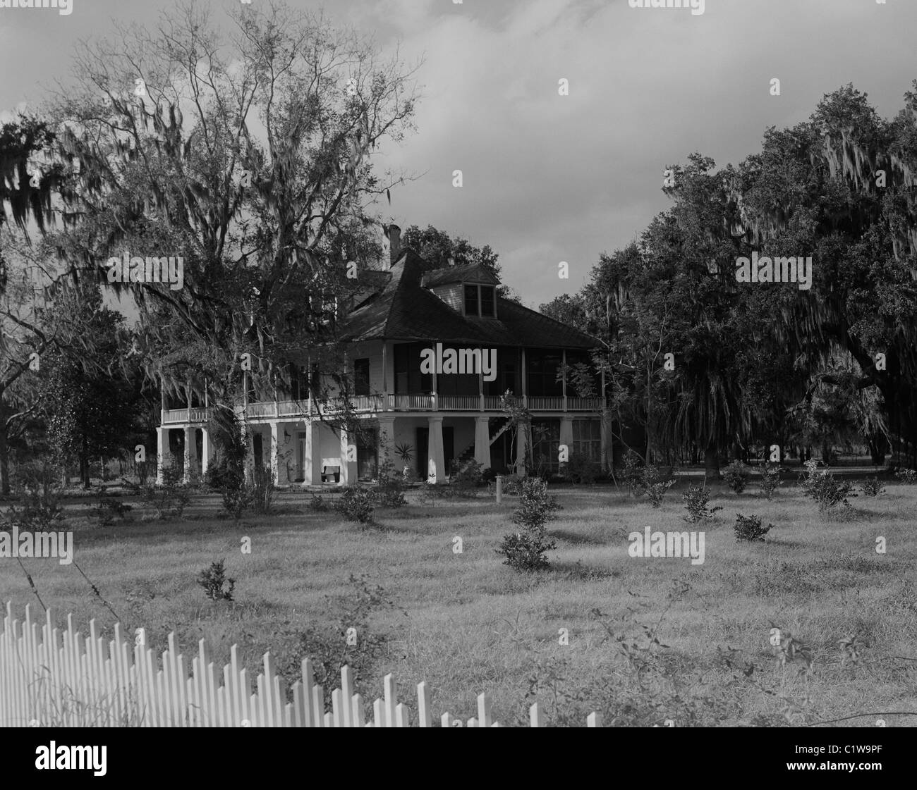 Plantation Black and White Stock Photos & Images Alamy