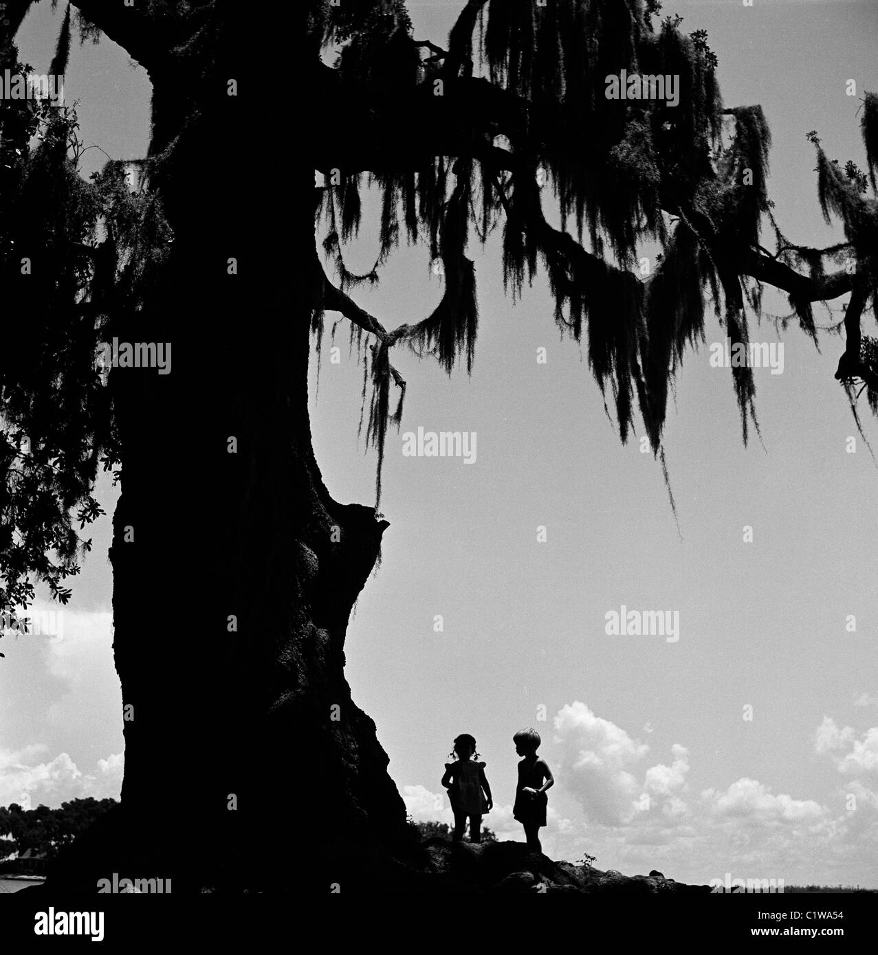 USA, Louisiana, Bayou, Kids standing under large tree Stock Photo