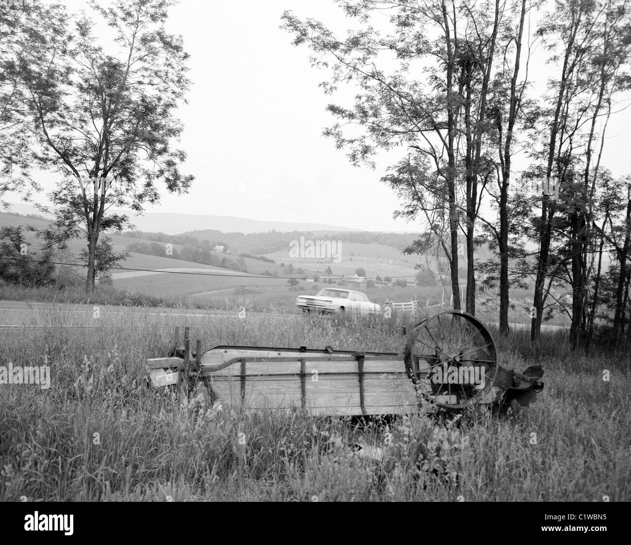 USA, Tennessee, Farm country Stock Photo - Alamy