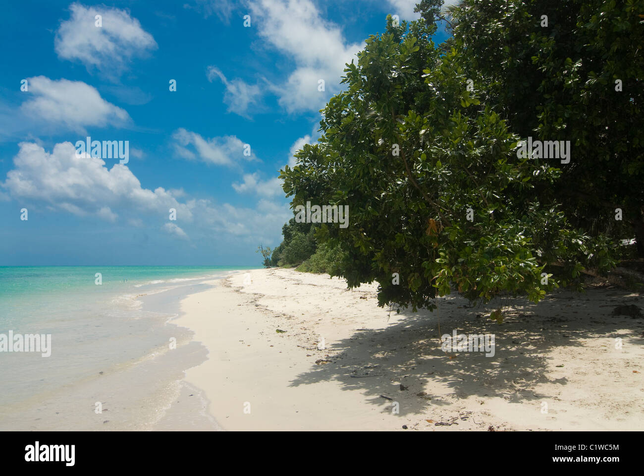 Silver sand beach with turquoise Indian Ocean. Havelock Island. Andaman Isles. India. Stock Photo