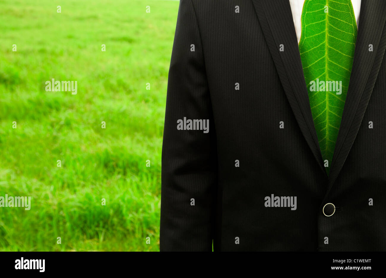 Businessman with green leaf tie on the grass field Stock Photo