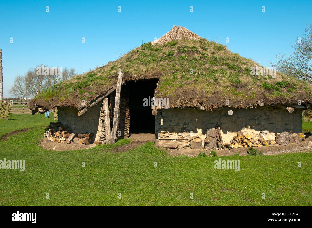 Reproduction of a bronze age round house at Flag Fen Archaeology Stock