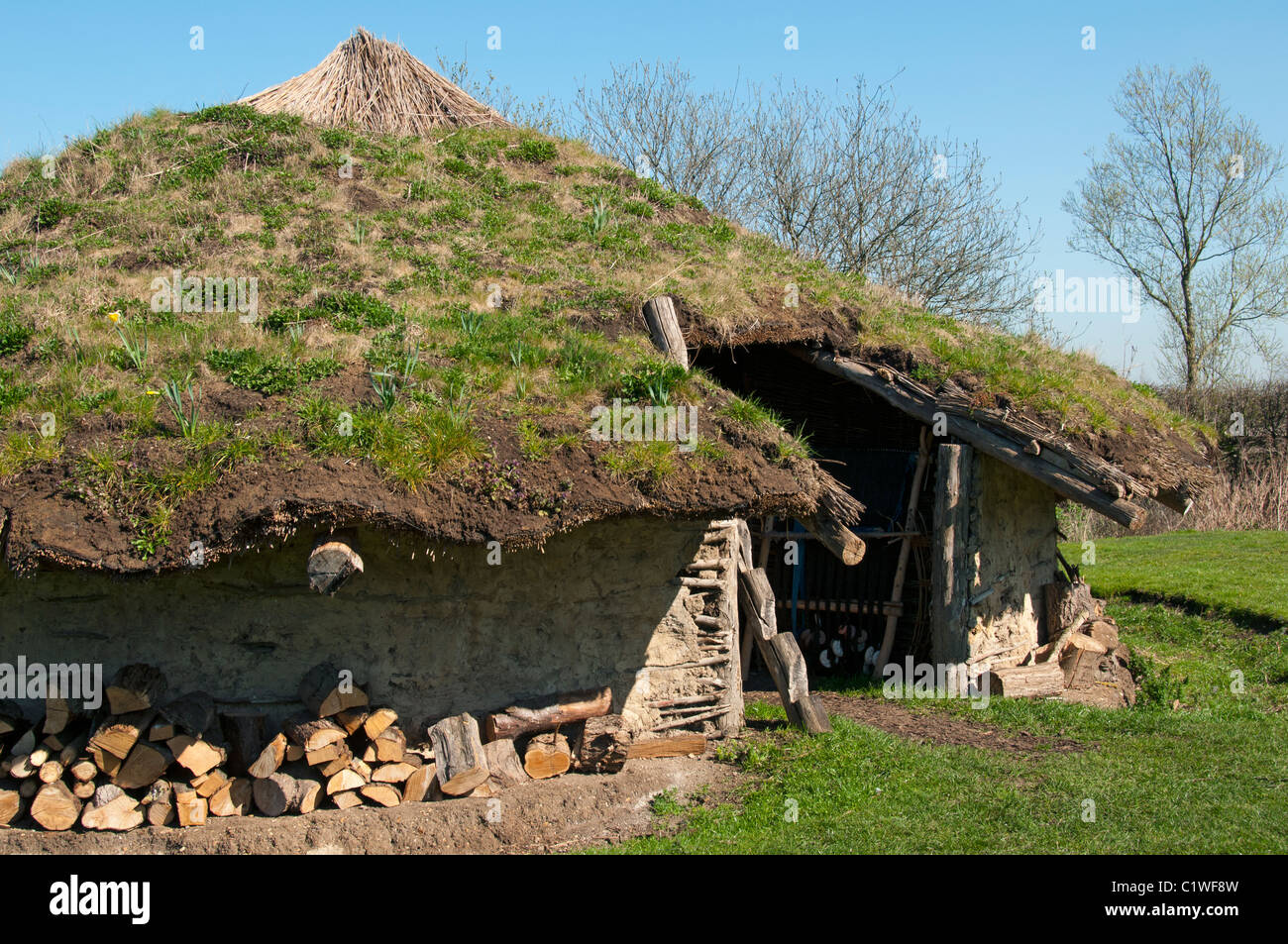 Flag Fen - Peterborough Archaeology