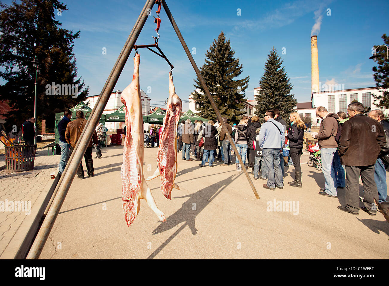 Skinned pigs hanging in front of the queue of people waiting for roasted pork Stock Photo
