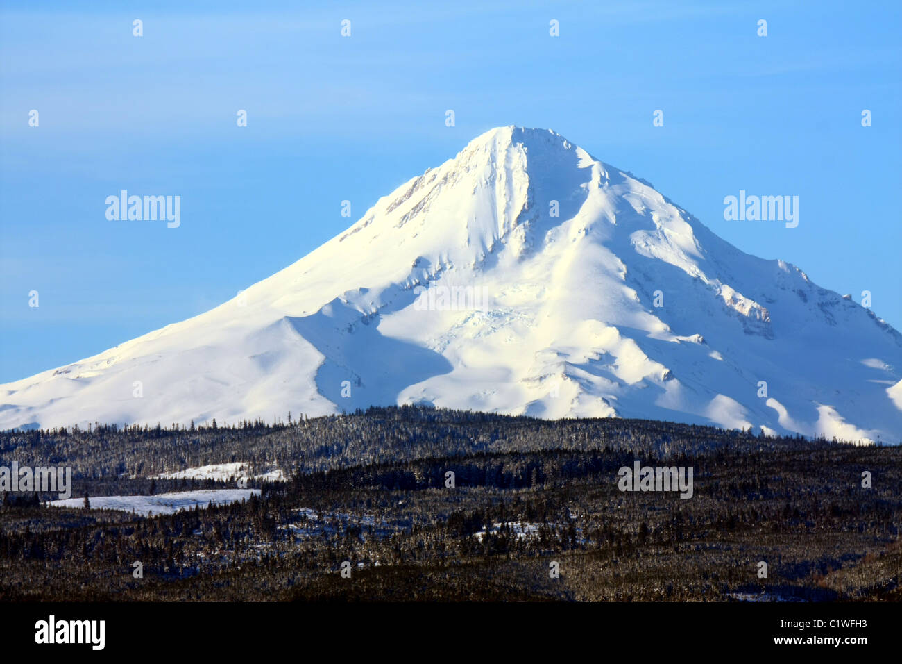 40,600.03123 A distant snow-covered mountain -- Mt Hood (11,240 ft tall) -- soaring over a tree covered ridge top, against a soft blue sky. Stock Photo