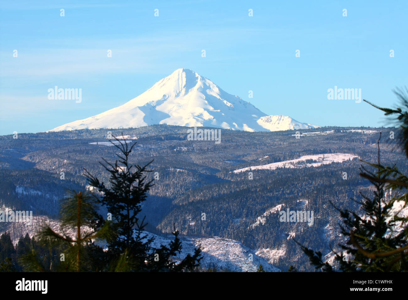 40,600.03124 A distant snow-covered mountain -- Mt Hood (11,240 ft tall) -- soaring over a tree covered ridge top, against a soft blue sky. Stock Photo