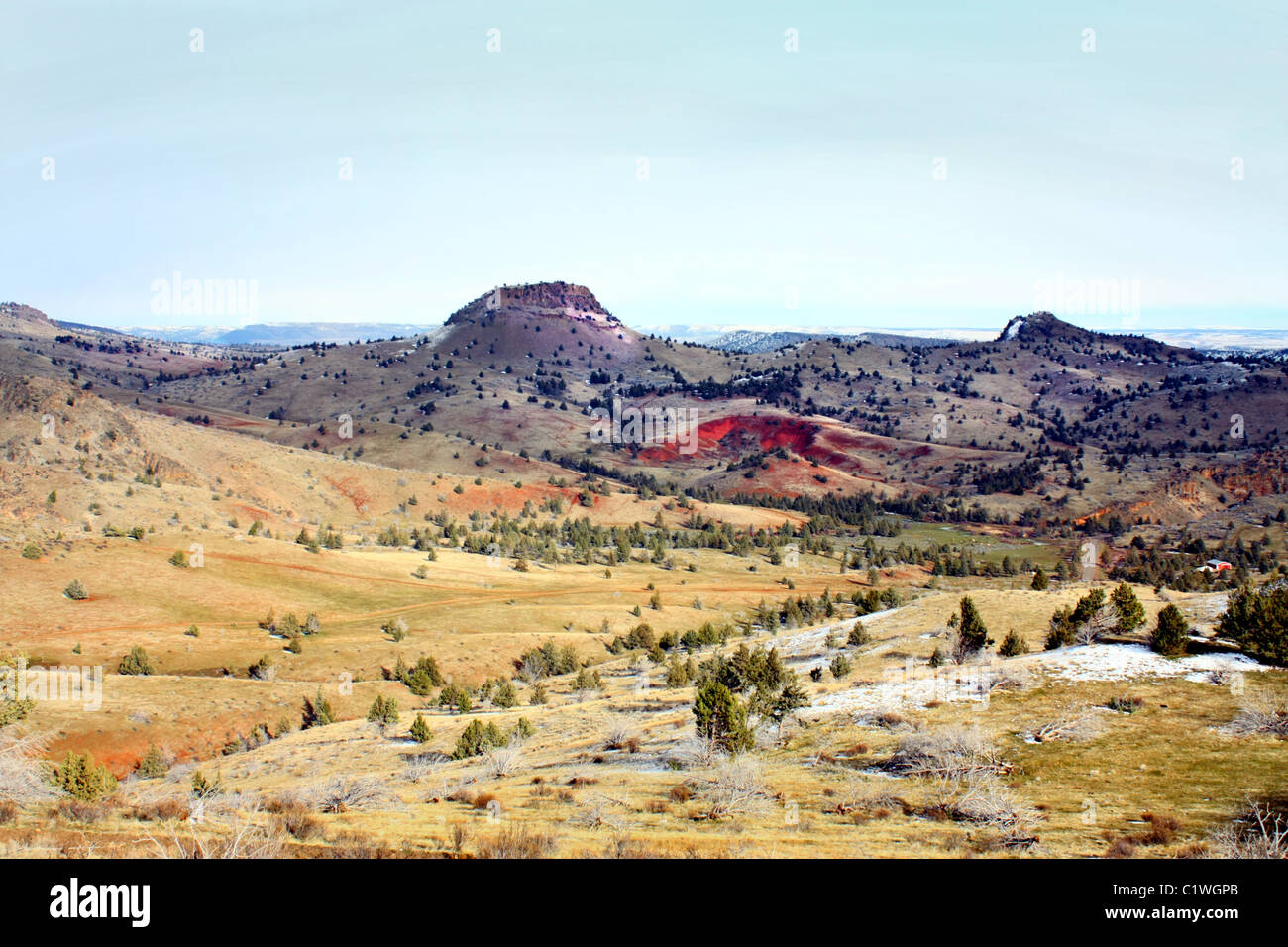 40,600.03259 High desert valley and rock hills/mounds/buttes with red to reddish brown soil.  Juniper trees, winter, but almost no snow. Stock Photo