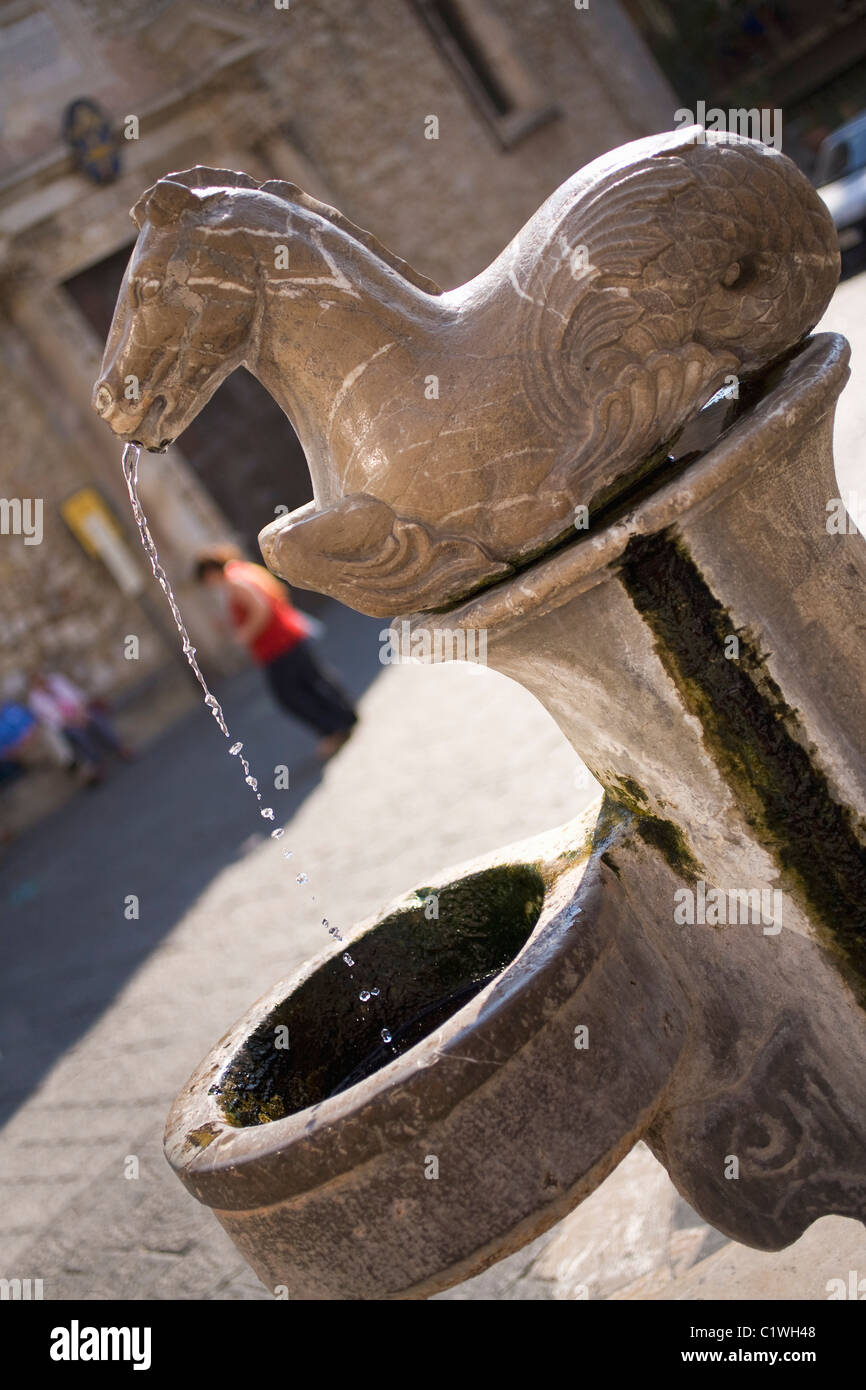 Italy, Sicily, Taormina, Horse drinking fountain outside Cathedral of St Nicola Stock Photo