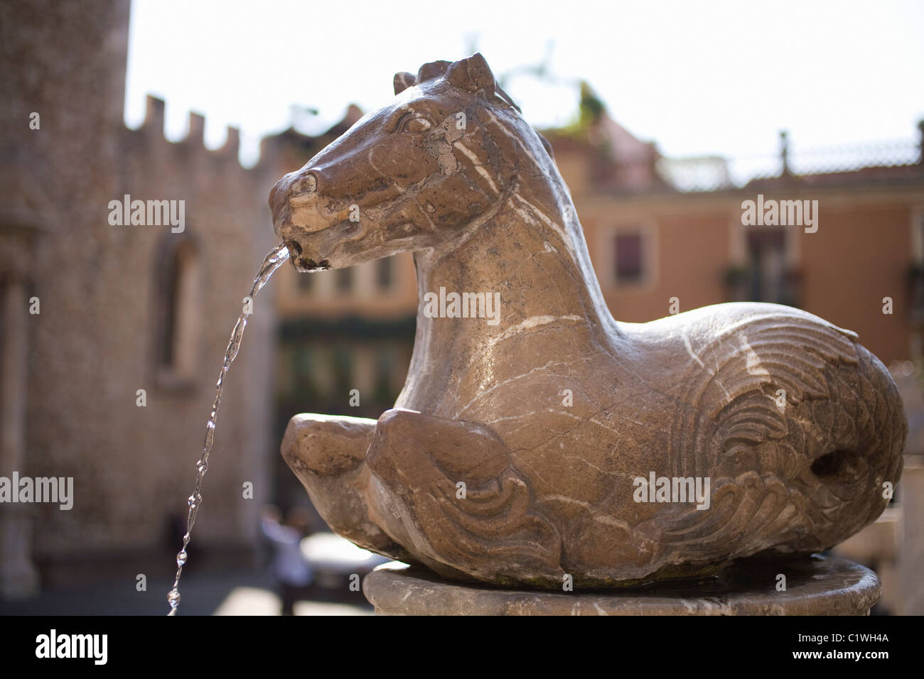 Italy, Sicily, Taormina, Horse drinking fountain outside Cathedral of St Nicola Stock Photo