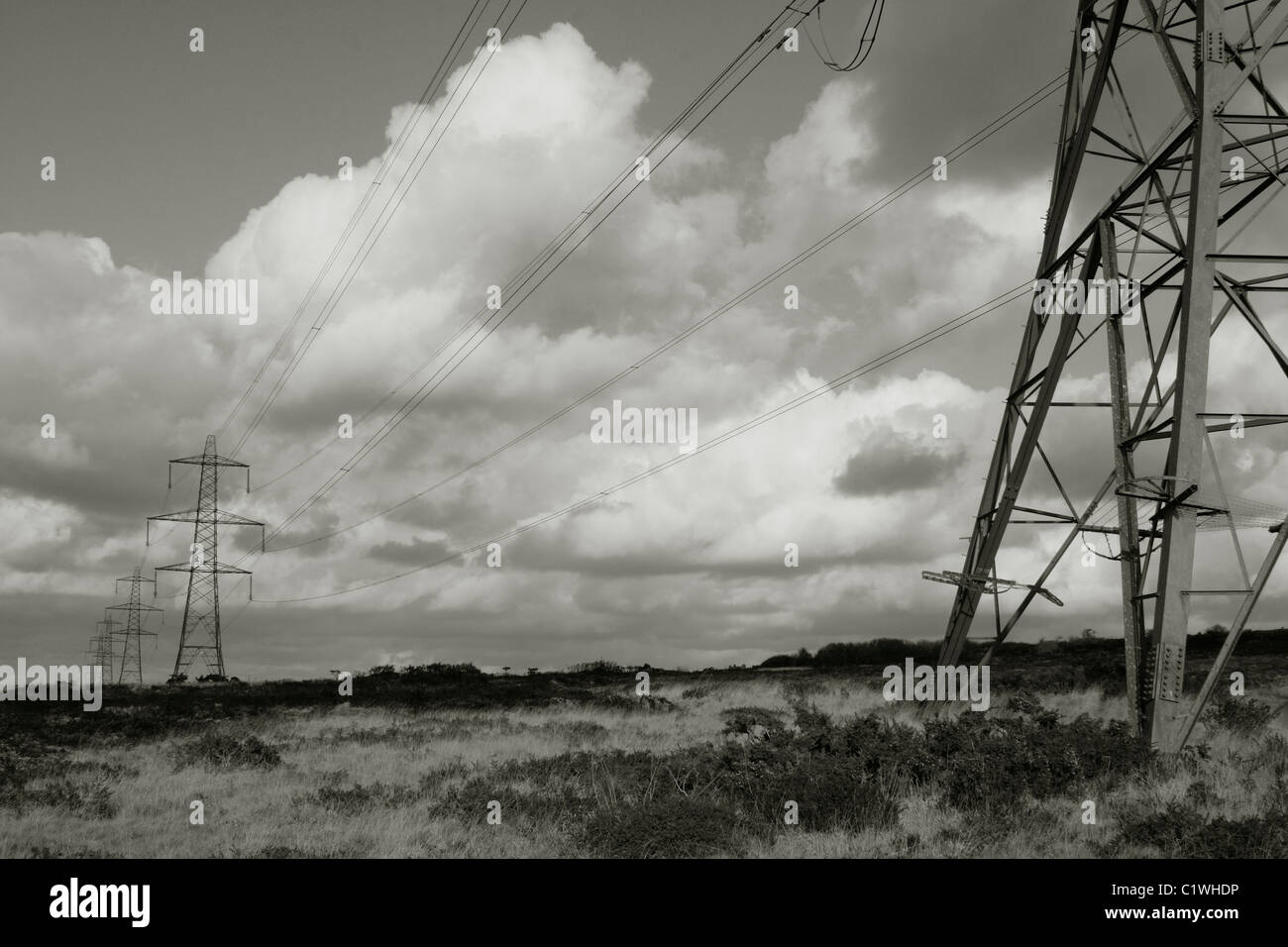 Telegraph pylons on Goss Moor NNR, Cornwall, England, UK Stock Photo