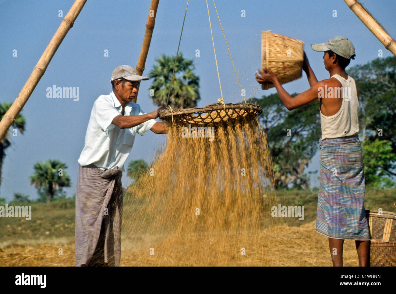Farmers winnowing rice, rural Myanmar (Burma) Stock Photo