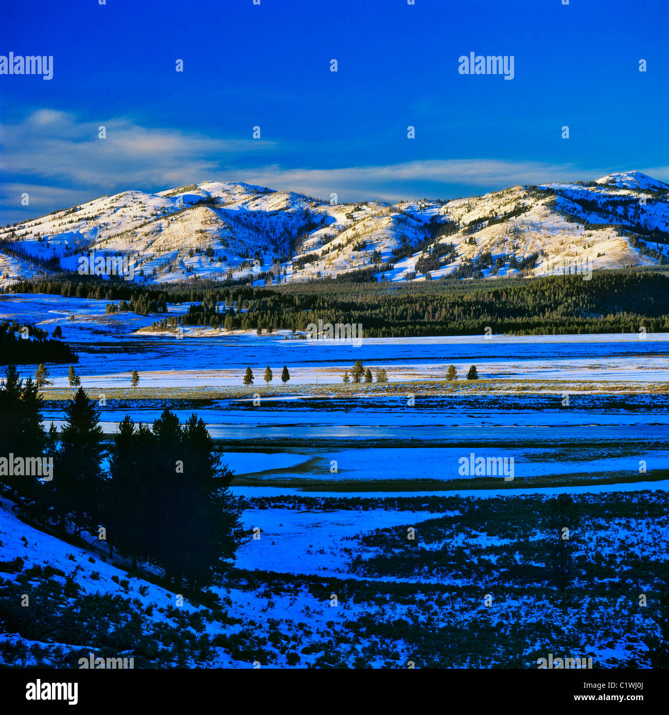 River with snow covered mountains in the background, Yellowstone River