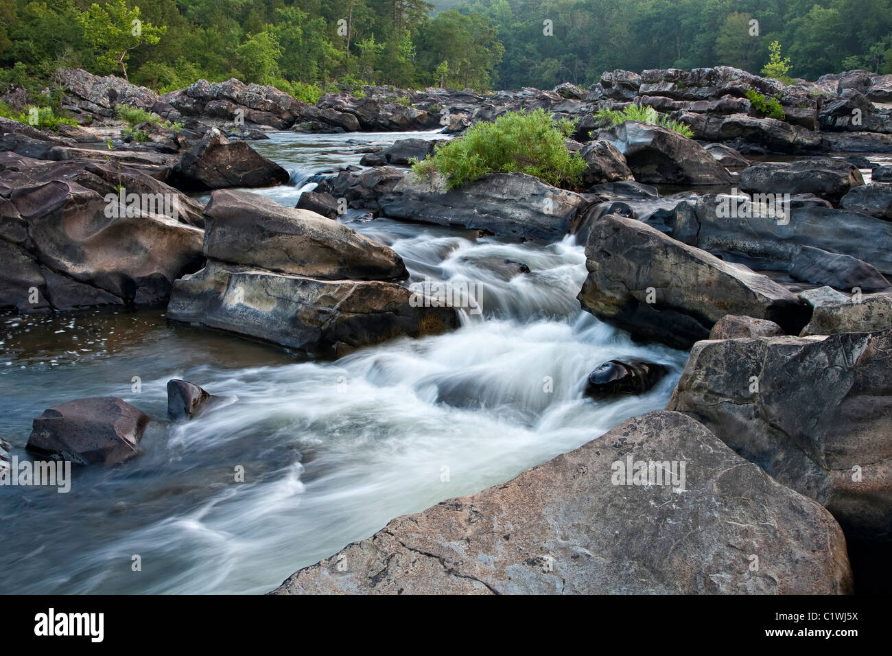 River flowing in a forest, Cossatot River, Ouachita Mountains, Ouachita National Forest