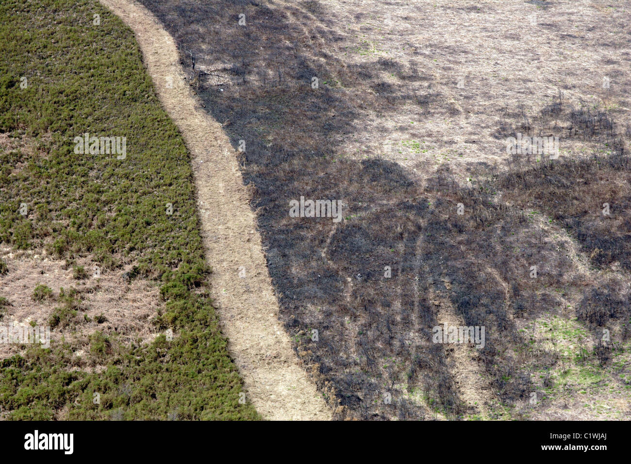Burnt heather and heathland management on Dartmoor, Devon, England, UK Stock Photo