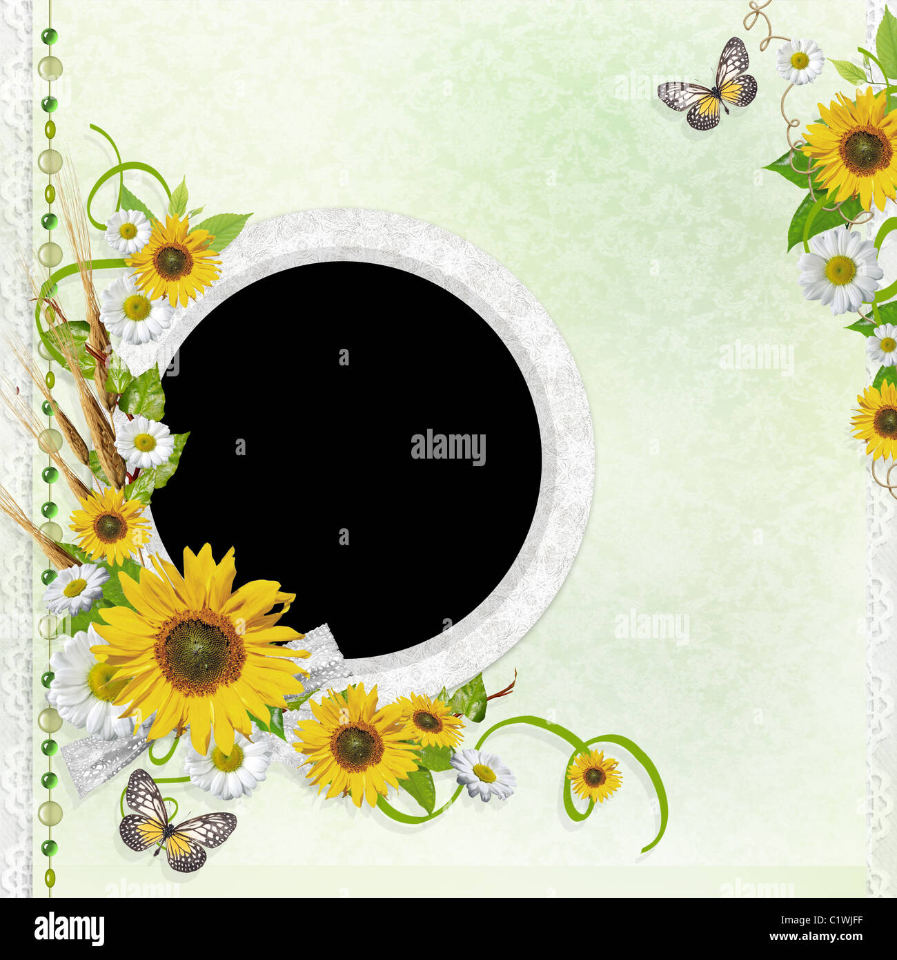 Summer background with frame and flowers Stock Photo - Alamy