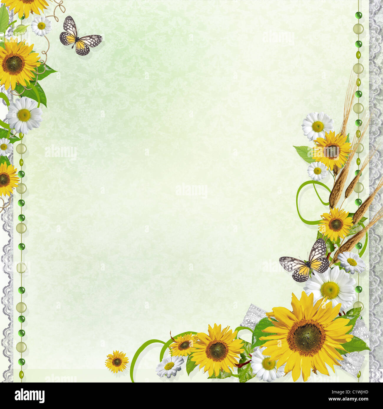 Summer background with frame and flowers Stock Photo - Alamy