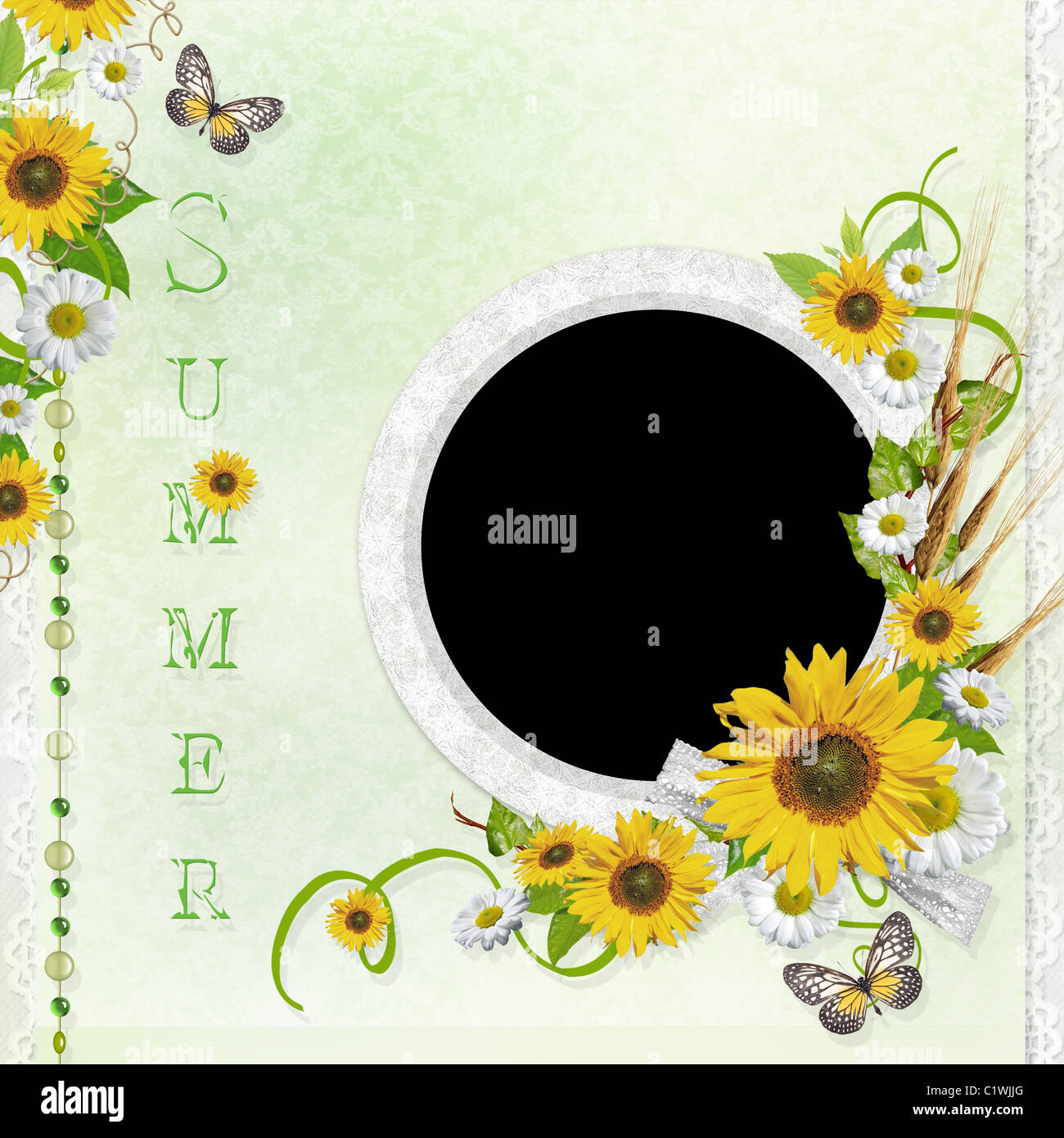 Summer background with frame and flowers Stock Photo - Alamy