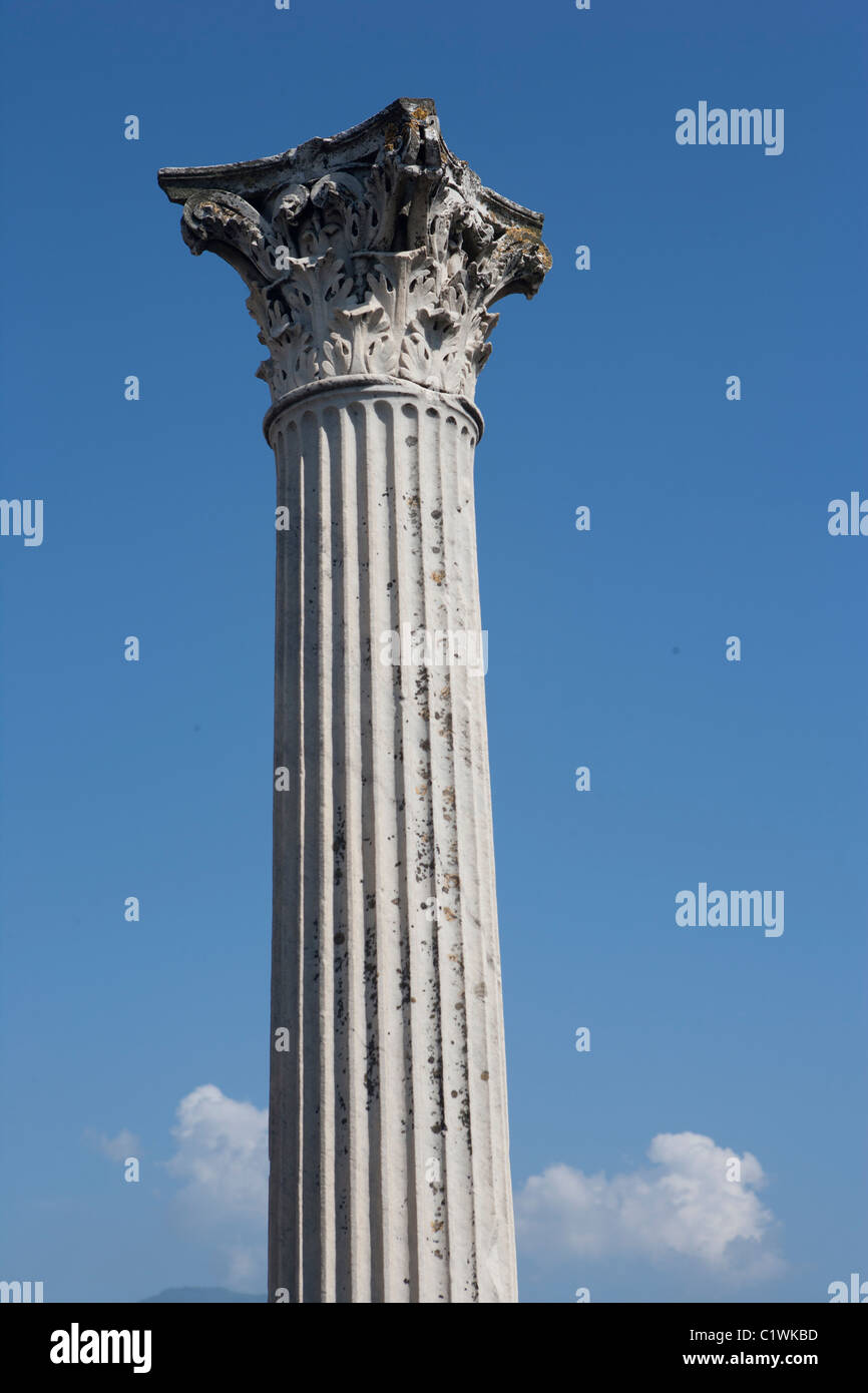 Roman Corinthian order column showing slender fluted column and elaborate capital. Pompeii, Italy. Stock Photo