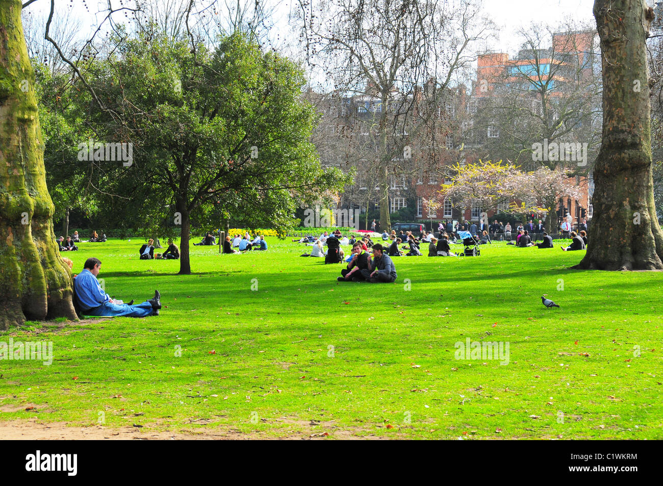 St. james park london hi-res stock photography and images - Alamy