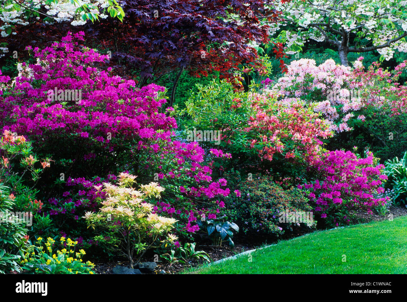 Garden flowers photography hi-res stock photography and images - Alamy