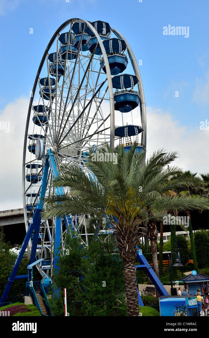 Wheel ride at the Houston Downtown Aquarium. Texas, USA Stock Photo - Alamy