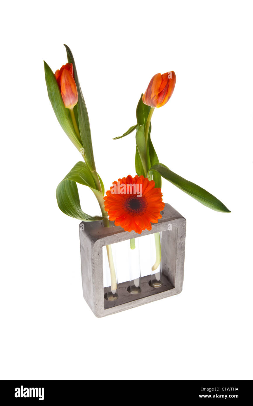 orange springflowers for dutch queensday and easter Stock Photo