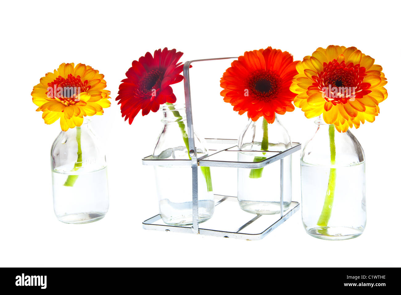 different colored springflowers in tray with vases Stock Photo